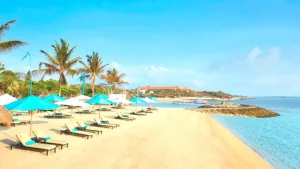 Petualangan Seru di Tanjung Benoa, Menyelam, Bermain Jetski, dan Menikmati Kuliner Pantai di Bali