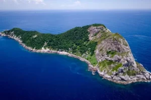 Snake Island, Pesona Wisata Legenda dan Fakta Mengerikan di Brazil