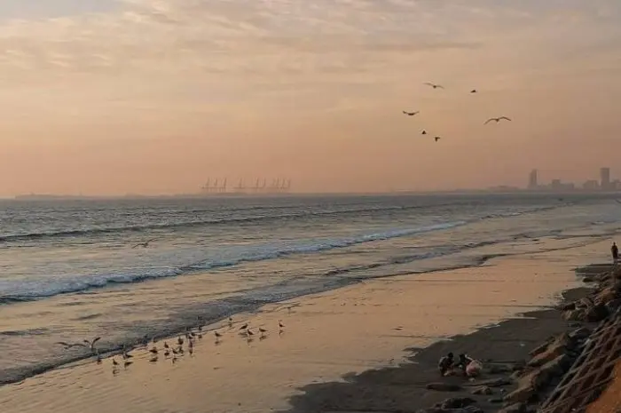 Clifton Beach Karachi Destinasi Pantai Favorit di Pakistan yang Wajib Dikunjungi