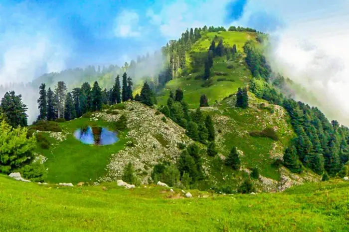 Tempat Wisata Terbaik di Nathia Gali Surga Tersembunyi di Pegunungan Pakistan