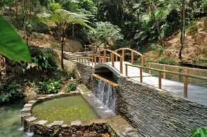 Curug Memukau di Jawa Barat yang Wajib Dikunjungi